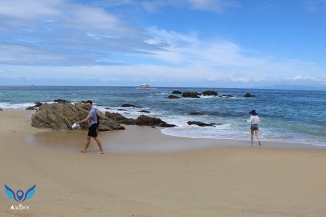 Canadians in Horse Beach
