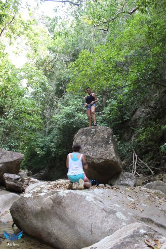Dulce at the Lion King Rock